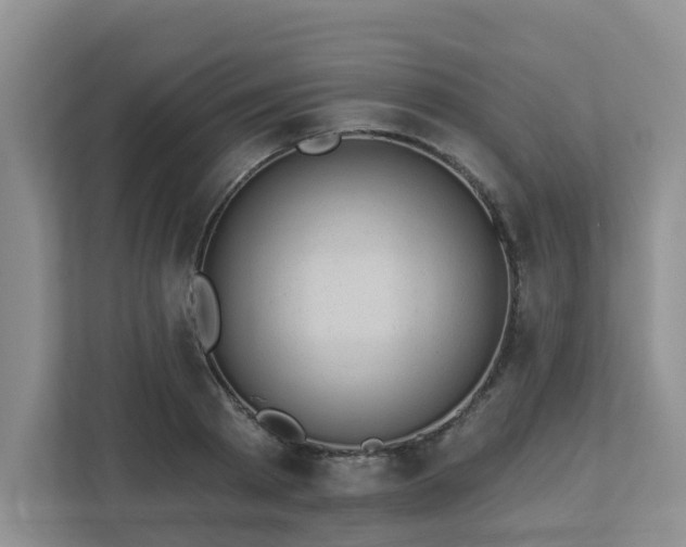 X0000112920793200908241225
