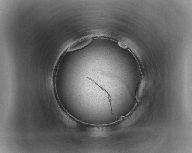 X0000112920797200908241225