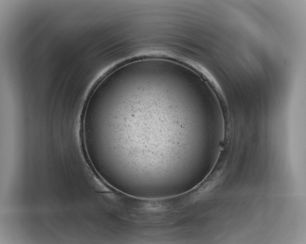 X0000112920799200908241225