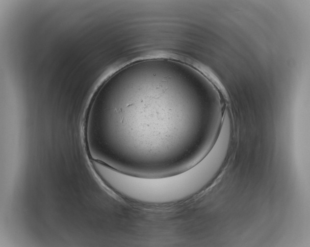 X0000112920805200908241225