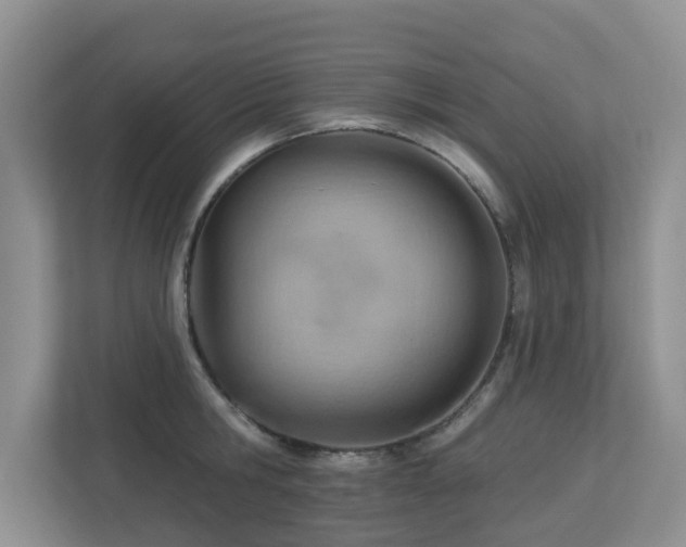 X0000112920806200908241225