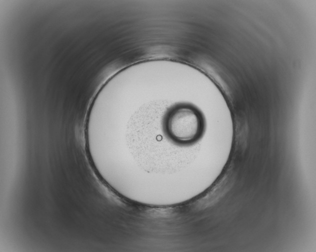 X0000112920810200908241225