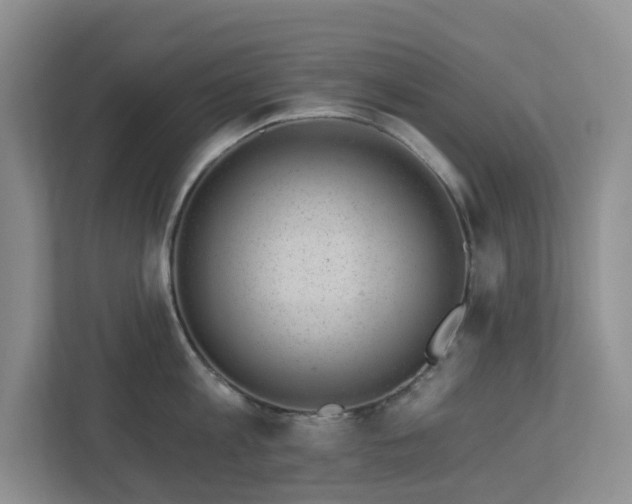 X0000112920813200908241225