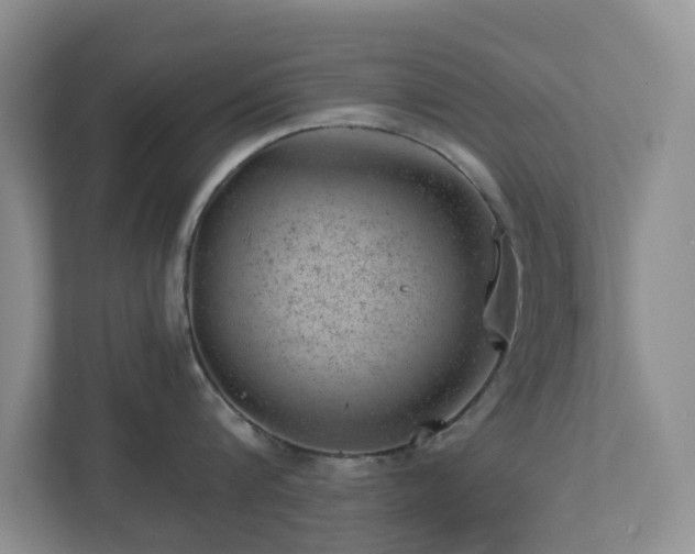 X0000112920816200908241225