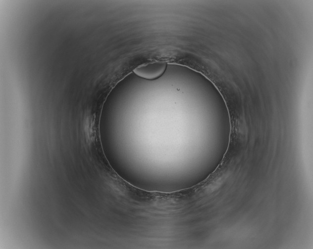 X0000112920818200908241224