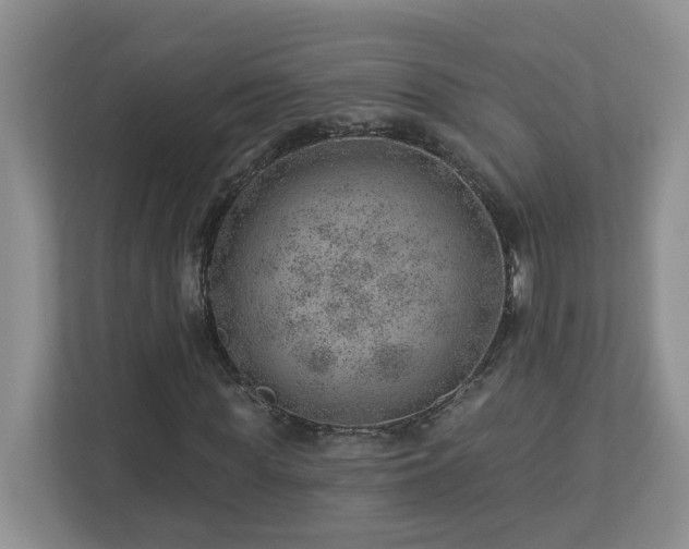 X0000112920819200908241224