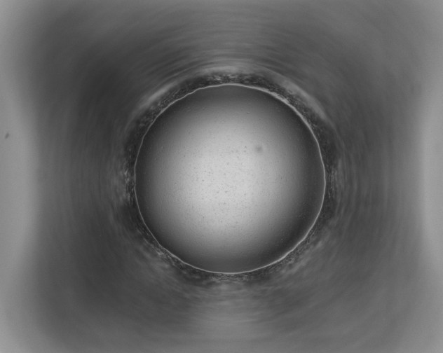 X0000112920822200908241224