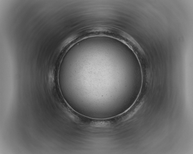 X0000112920826200908241224