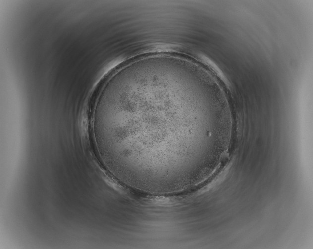 X0000112920827200908241224