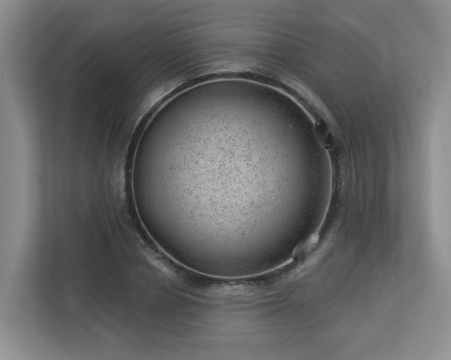 X0000112920834200908241224