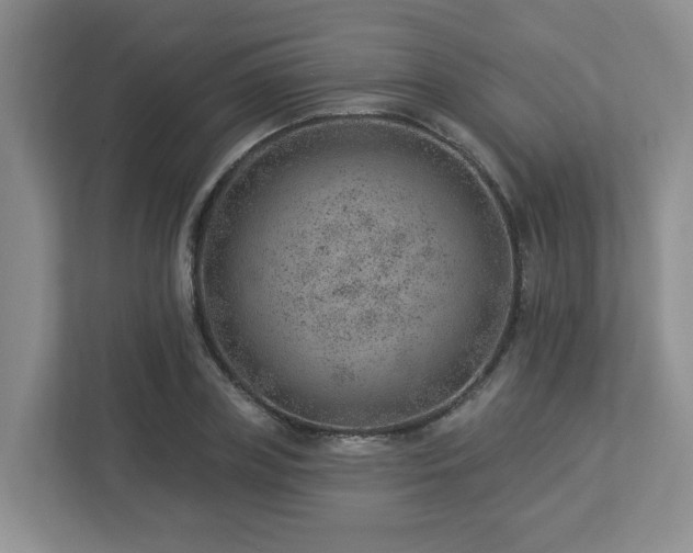 X0000112920835200908241224