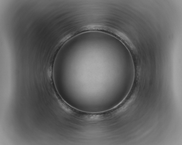 X0000112920841200908241224