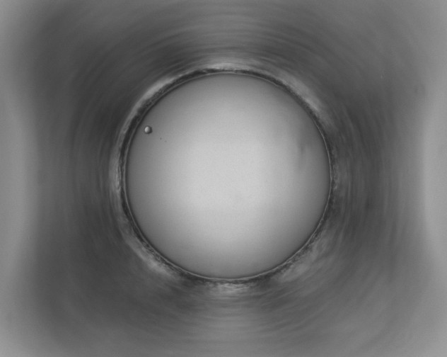 X0000112920848200908241224