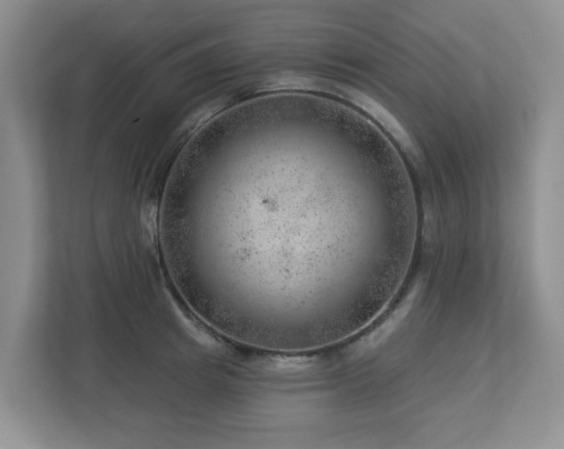 X0000112920849200908241224