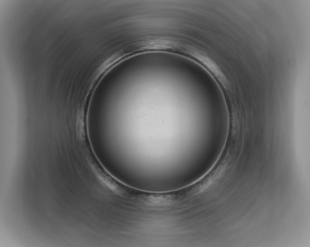 X0000112920850200908241224