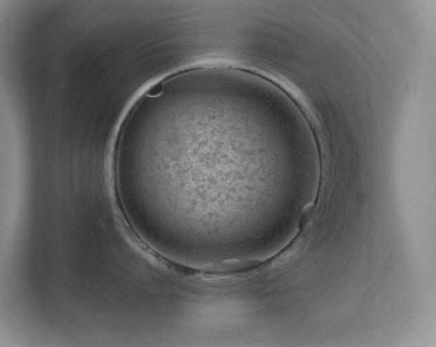 X0000112920864200908241225