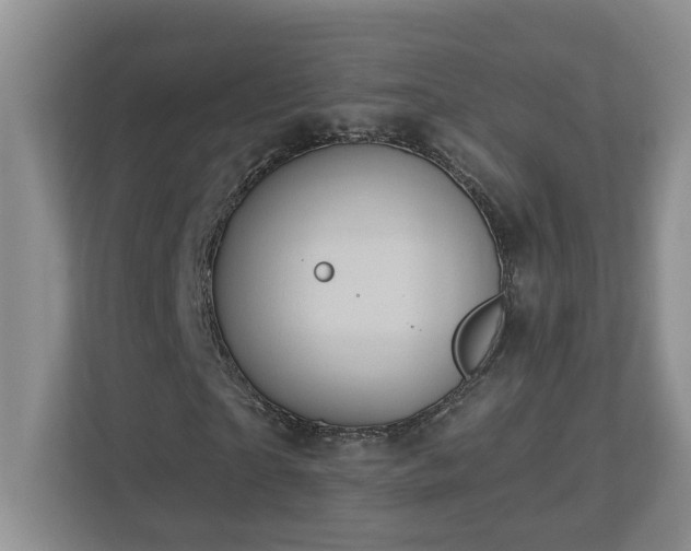 X0000112920865200908241224