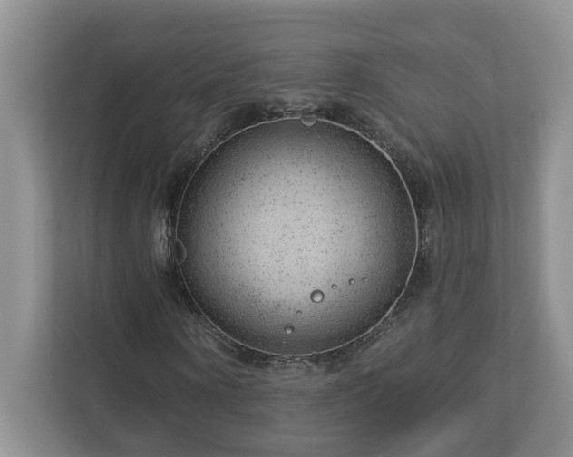 X0000112920866200908241224