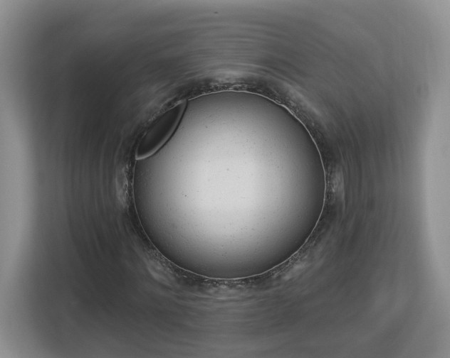 X0000112920868200908241224