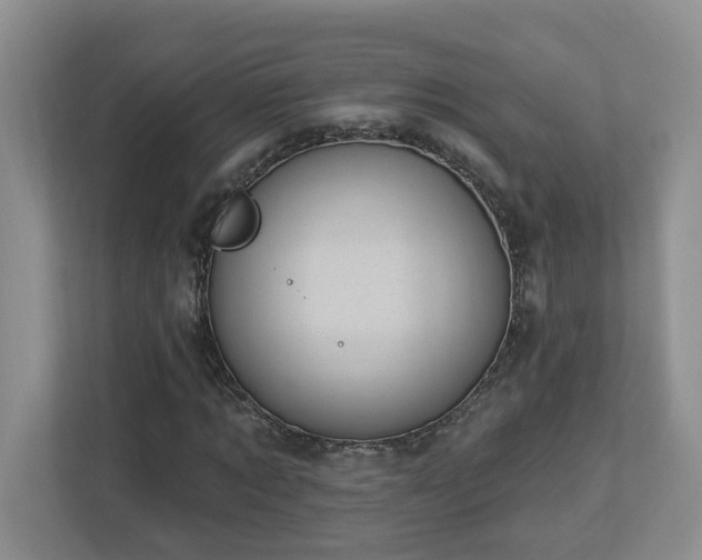 X0000112920869200908241224