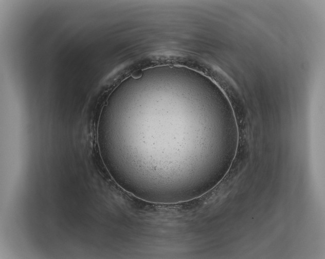 X0000112920870200908241224