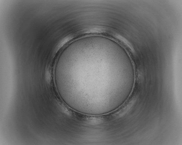 X0000112920874200908241224