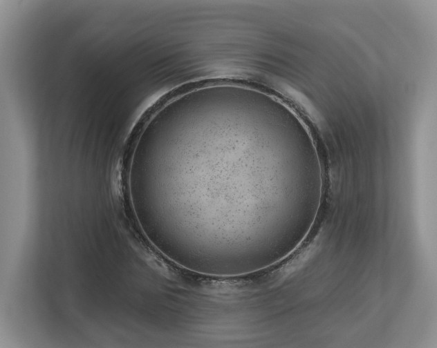 X0000112920875200908241224