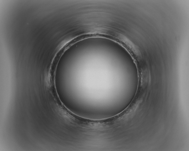 X0000112920876200908241224