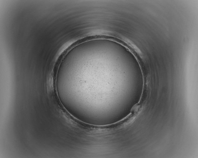 X0000112920877200908241224