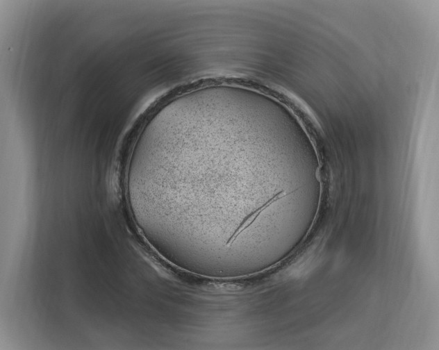X0000112920878200908241224