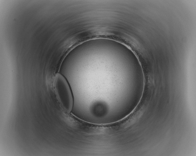 X0000112920881200908241224