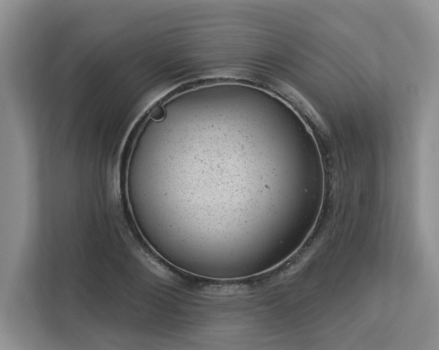 X0000112920884200908241224