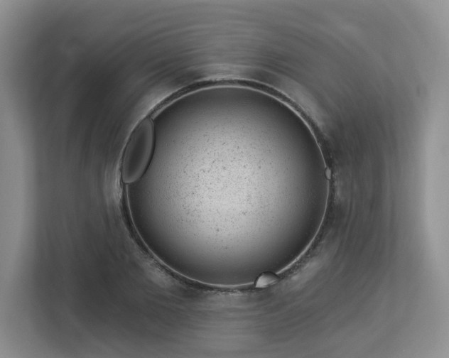 X0000112920885200908241224
