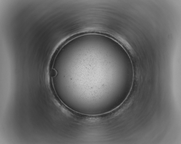 X0000112920888200908241224