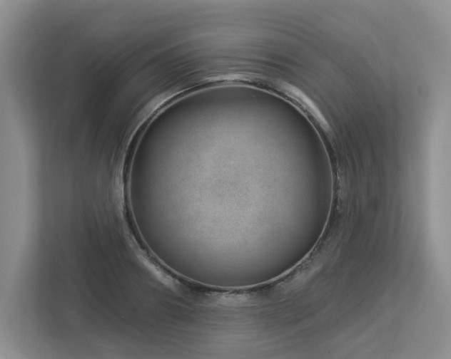 X0000112920890200908241224