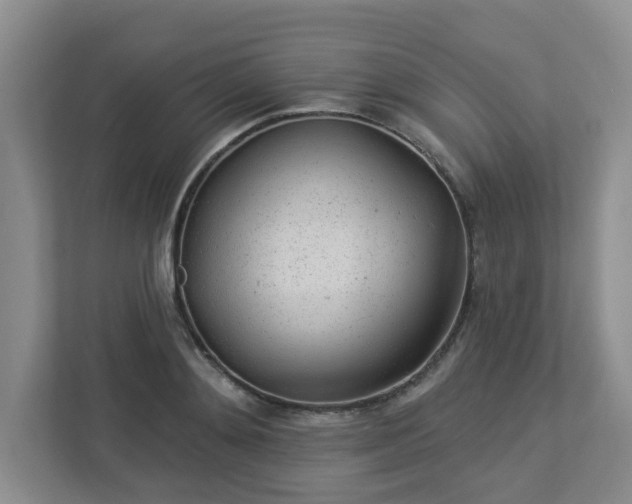 X0000112920892200908241224