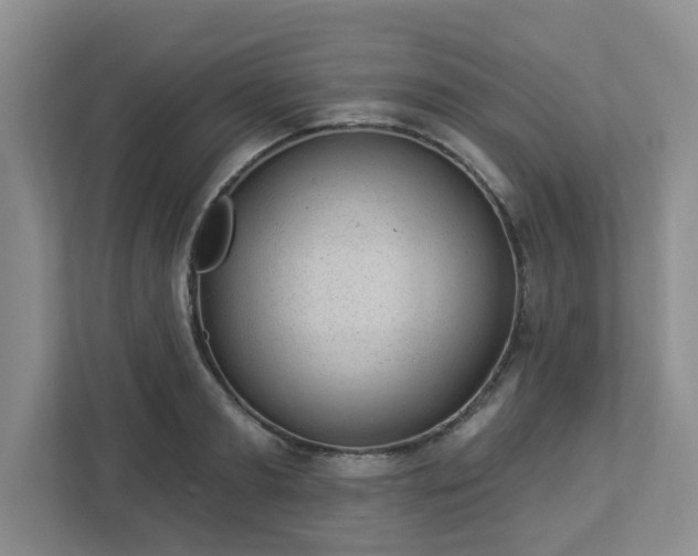 X0000112920893200908241224