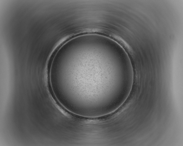 X0000112920894200908241224