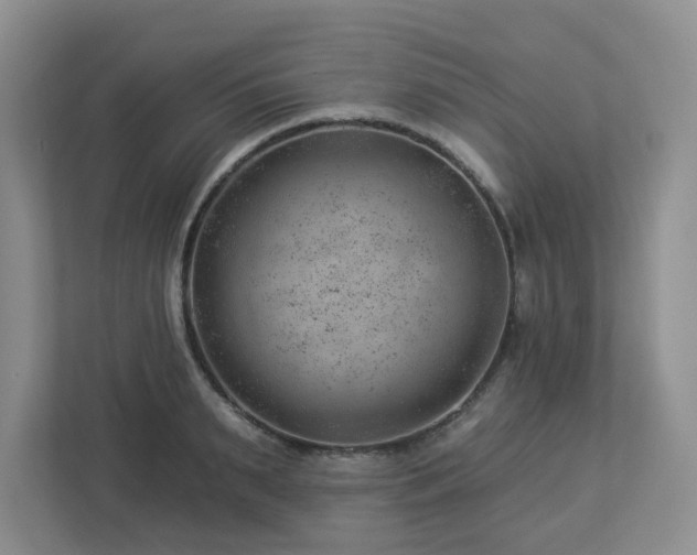 X0000112920895200908241224
