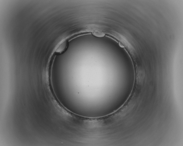 X0000112920896200908241224