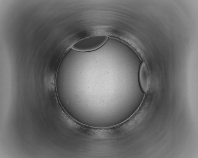 X0000112920897200908241224