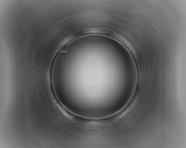 X0000112920898200908241224