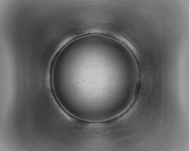 X0000112920902200908241224