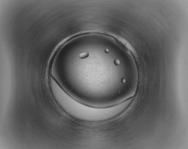 X0000112920904200908241224