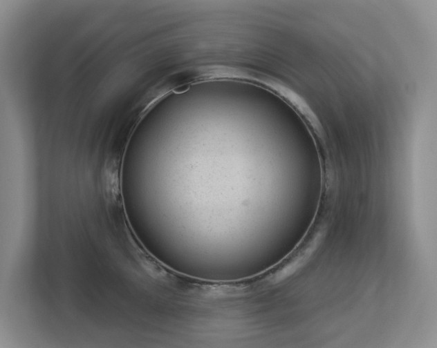 X0000112920905200908241224