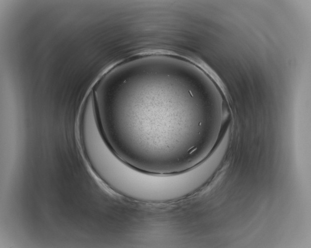 X0000112920909200908241223