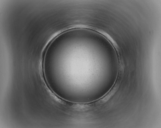 X0000112920910200908241223