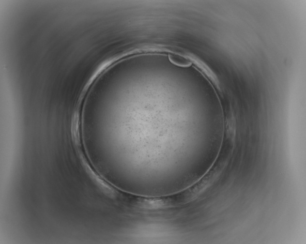 X0000112920911200908241223