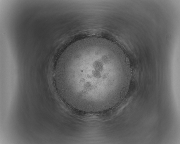 X0000112920913200908241223
