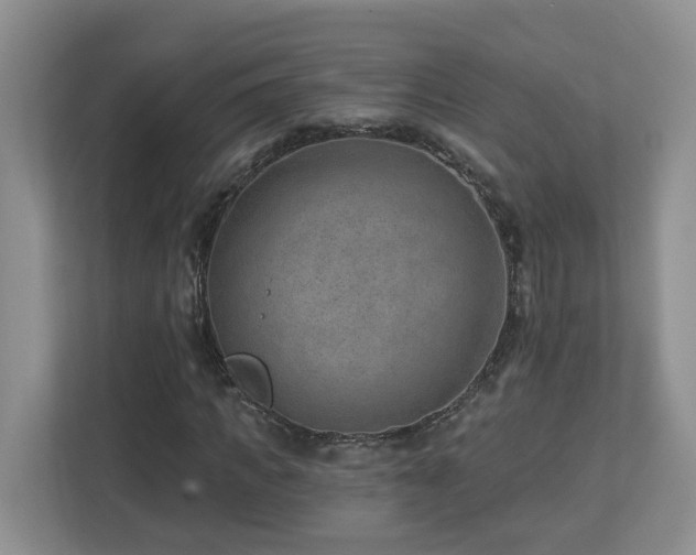 X0000112920917200908241223